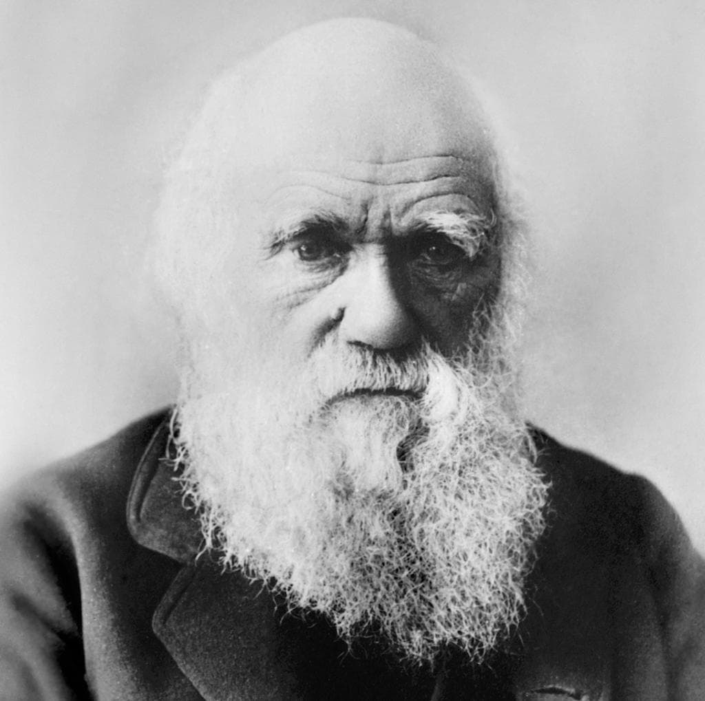 Charles-Darwin-Author