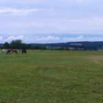 Zielone wąwozy i strome podjazdy! Zobacz fotorelację z rajdu przez Kraszczady