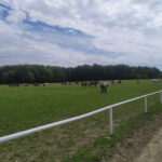 Zielone wąwozy i strome podjazdy! Zobacz fotorelację z rajdu przez Kraszczady