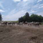 Zielone wąwozy i strome podjazdy! Zobacz fotorelację z rajdu przez Kraszczady