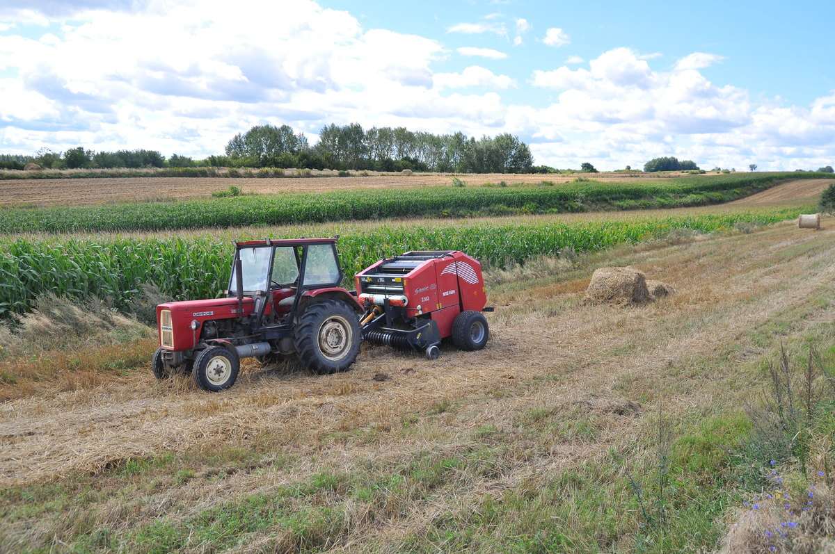 Tragiczny wypadek podczas prac polowych w powiecie kraśnickim