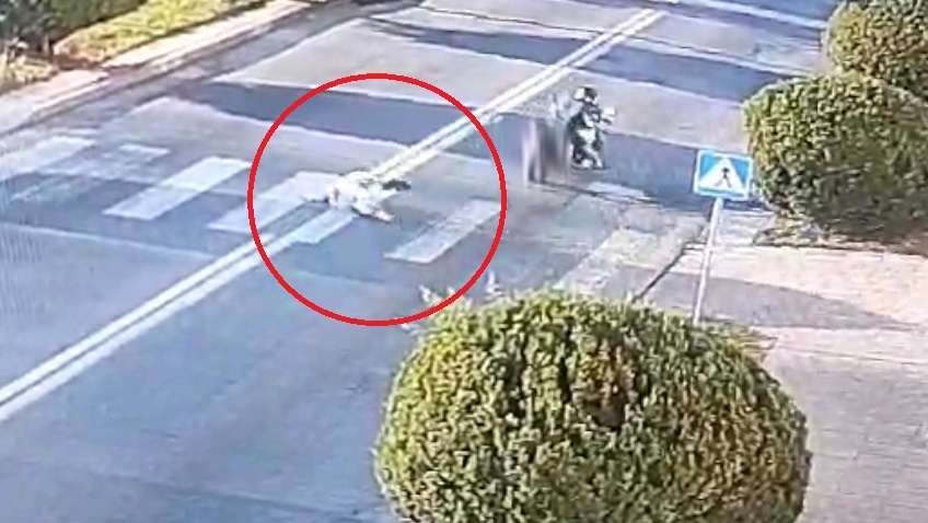 84-latka potrącona na przejściu w centrum Zamościa