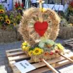 Dożynki w Gminie Wysokie z gwiazdą wieczoru – zespołem Bayera! [ZDJĘCIA]