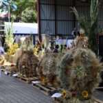 Dożynki w Gminie Wysokie z gwiazdą wieczoru – zespołem Bayera! [ZDJĘCIA]