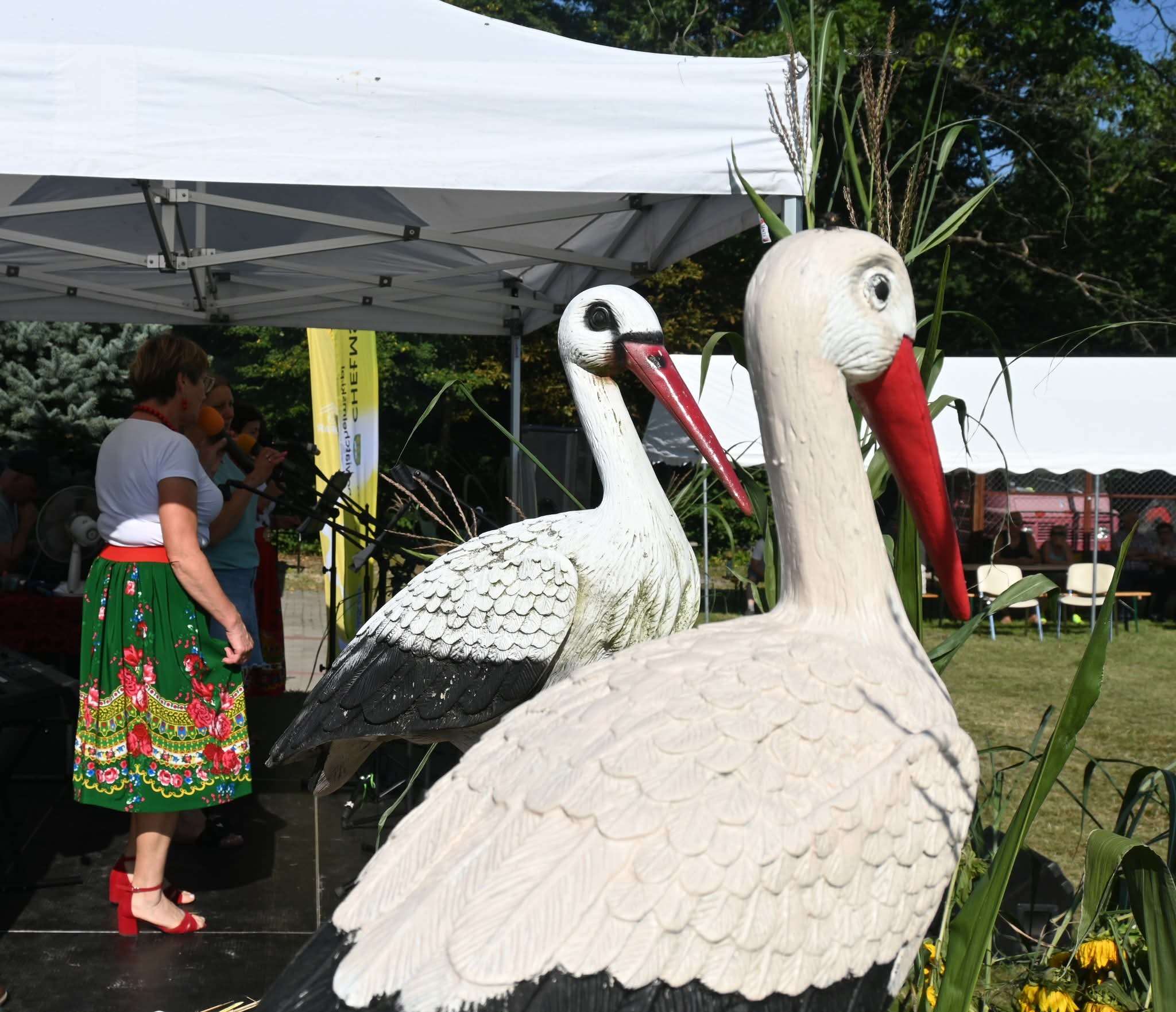 Święto Bociana w Skryhiczynie: tradycja, edukacja i integracja lokalnej społeczności