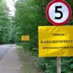 Eksplozja ASF w województwie lubelskim
