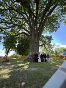 Bolkowanie 2025 w Hniszowie – dąb Bolko gościł Bolesława Chrobrego!