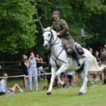 Zwierzyniec: Dobra energia dla dobra natury