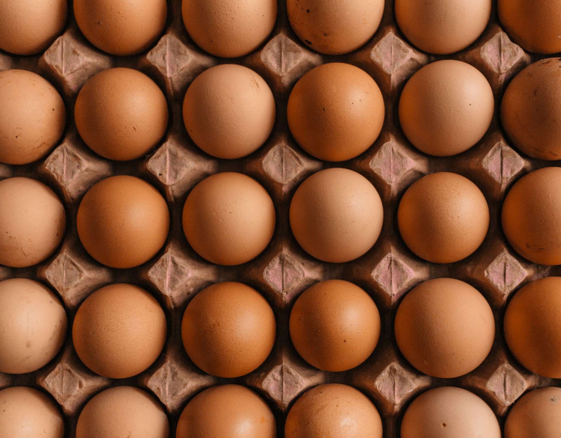 GIS ostrzega: Salmonella w jajach z wolnego wybiegu. Sprawdź, czy masz tę partię