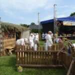 Gmina Rachanie: Dożynki w Pawłówce – święto tradycji, wspólnoty i wdzięczności [ZDJĘCIA]