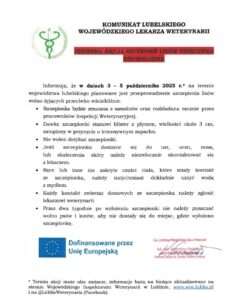 Automatycznie zapisany szkic