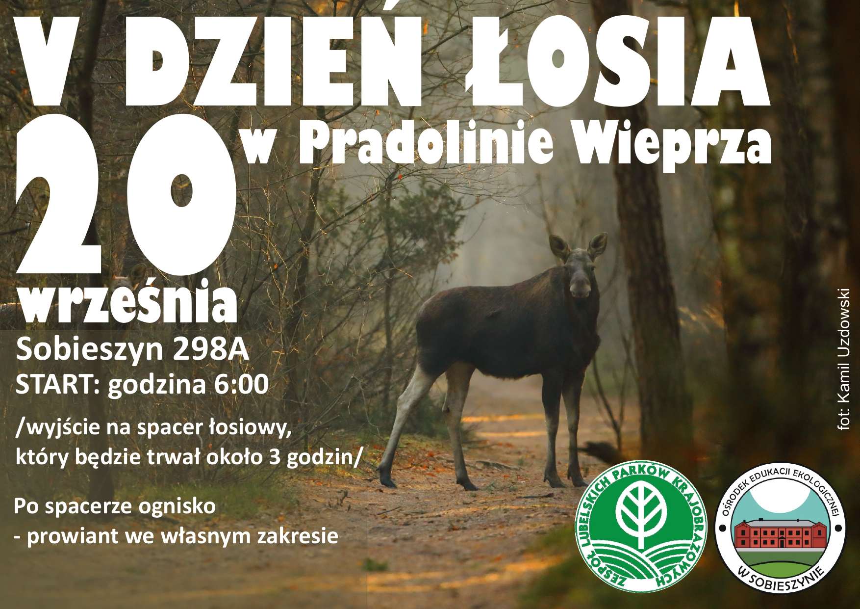 Dzień Łosia w Sobieszynie – wyjątkowe spotkanie z naturą już 20 września!