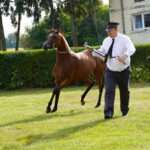 Chleb, wieniec, ogień i muzyka – Dożynki Powiatowe 2025 w Białce