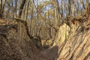 Poznaj projektowany Kraszczadzki Obszar Chronionego Krajobrazu – nowy skarb Lubelszczyzny (GALERIA)