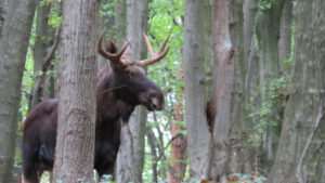 Poznaj projektowany Kraszczadzki Obszar Chronionego Krajobrazu – nowy skarb Lubelszczyzny (GALERIA)