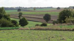 Poznaj projektowany Kraszczadzki Obszar Chronionego Krajobrazu – nowy skarb Lubelszczyzny (GALERIA)