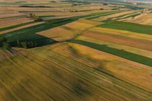 Poznaj projektowany Kraszczadzki Obszar Chronionego Krajobrazu – nowy skarb Lubelszczyzny (GALERIA)