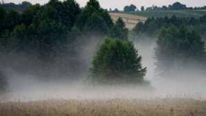 Poznaj projektowany Kraszczadzki Obszar Chronionego Krajobrazu – nowy skarb Lubelszczyzny (GALERIA)