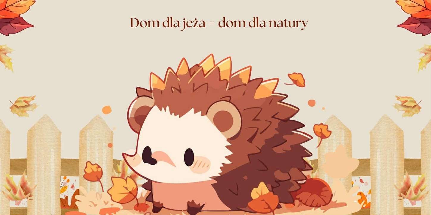 „Małe domki, wielkie serca” – stwórz schronienie dla jeży razem z Parkami Krajobrazowymi!