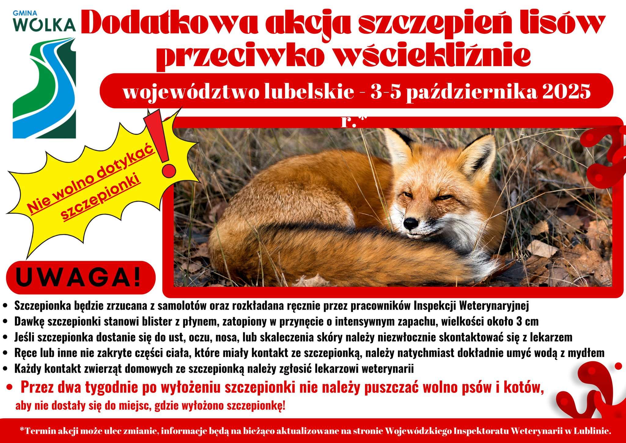Dodatkowa akcja szczepień lisów przeciwko wściekliźnie w województwie lubelskim – październik 2025