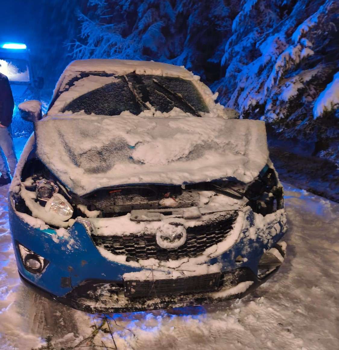 Niebezpieczna noc na drogach: drzewa spadły na auta pod ciężarem śniegu