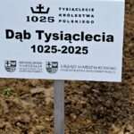 WOJCIECHÓW: Dzień Niepodległości 2025, przeżyjmy to jeszcze raz [GALERIA]