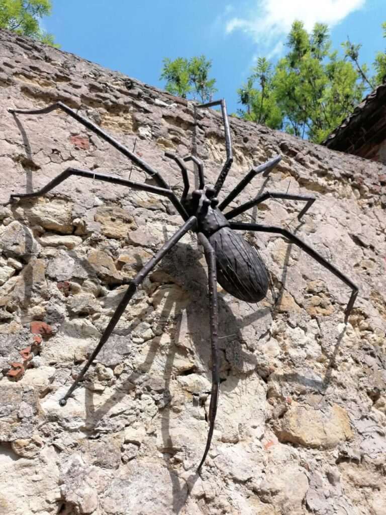 WOJCIECHÓW: Wieża Ariańska doczeka się upiększenia