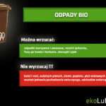 LUBLIN: Śmieci zaprzątają coraz więcej uwagi