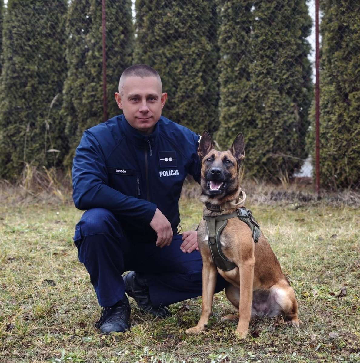 Westka dołączyła do bialskiej policji – owczarek belgijski w akcji