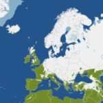 Automatycznie zapisany szkic