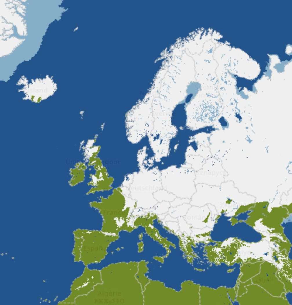 Automatycznie zapisany szkic