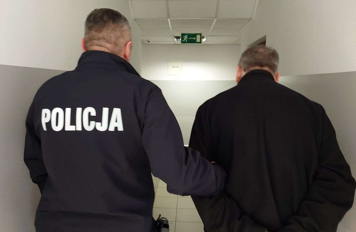 Wiózł plakaty propagujące nazizm. 68-letni obywatel Ukrainy wydalony z Polski