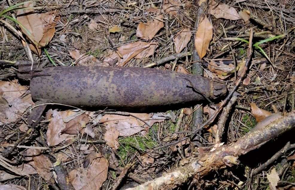 Uwaga na niewybuchy! Turyści znaleźli bombę lotniczą w Bonowie