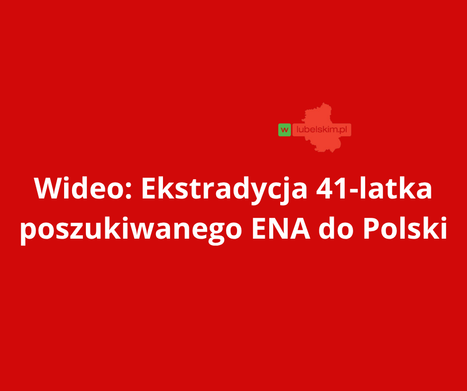 WIDEO: Poszukiwany za kierowanie grupą przestępczą zatrzymany w Holandii. 41-latek ekstradowany do Polski