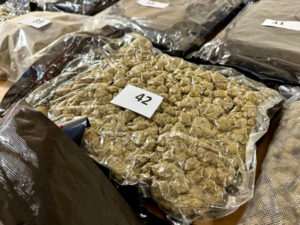 Policja rozbija narkobiznes pseudokibiców – przejęto towar wart miliony