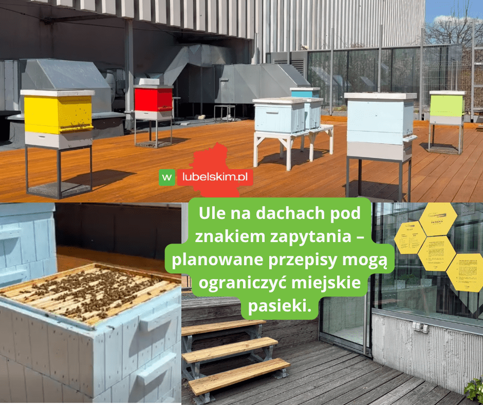 Nowe przepisy a pszczelarze – pasieki zagrożone