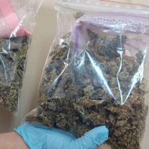 40-latek z Białej Podlaskiej zatrzymany za posiadanie znacznej ilości narkotyków