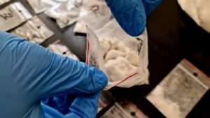 Wideo : Parczew: 46-latek zatrzymany za serię włamań do piwnic i posiadanie narkotyków