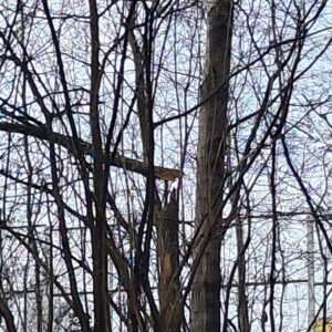 Nawałnica uderzyła w skansen. Muzeum Wsi Lubelskiej liczy straty