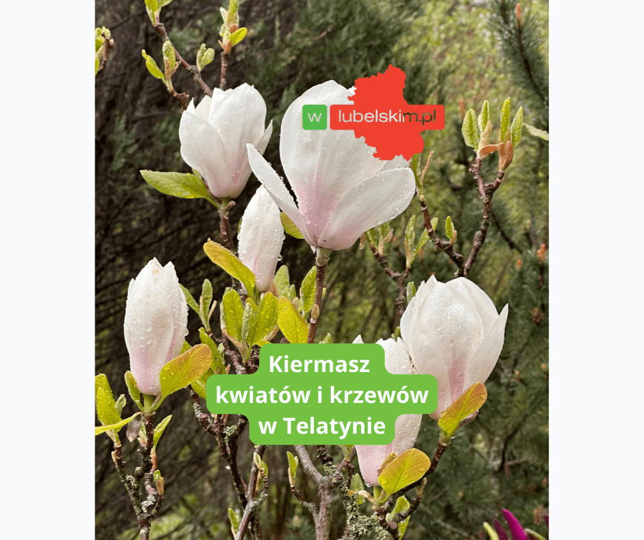 W Telatynie odbędzie się IX Wiosenny Kiermasz Kwiatów i Krzewów