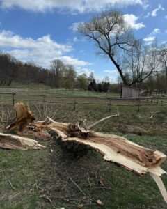 Nawałnica uderzyła w skansen. Muzeum Wsi Lubelskiej liczy straty