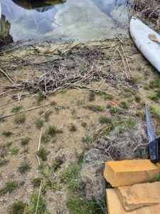 Walka z kłusownictwem na Lubelszczyźnie. Straż rybacka kontrolowała jeziora