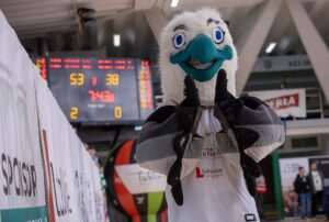 Lublin o krok od mistrzostwa Polski! Lotto AZS UMCS prowadzi 2:0 w finale