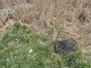 Walka z kłusownictwem na Lubelszczyźnie. Straż rybacka kontrolowała jeziora