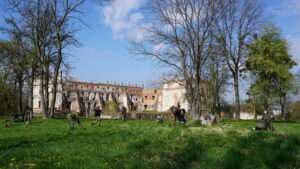 Prace archeologiczne w Krupem – pierwsze odkrycia