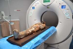 Sztuczna inteligencja odsłania tajemnice egipskiej mumii sprzed 2000 lat