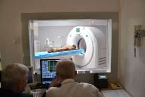 Sztuczna inteligencja odsłania tajemnice egipskiej mumii sprzed 2000 lat