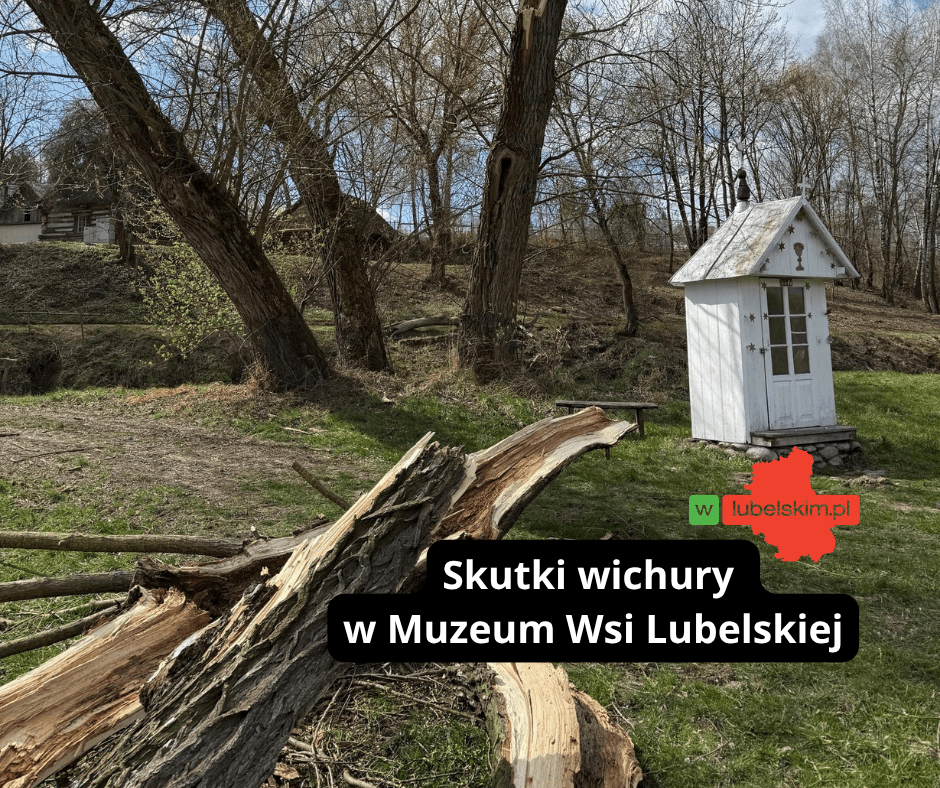Nawałnica uderzyła w skansen. Muzeum Wsi Lubelskiej liczy straty
