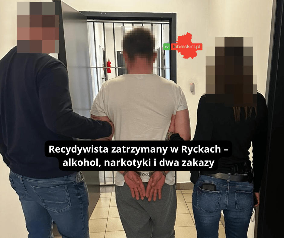 Automatycznie zapisany szkic