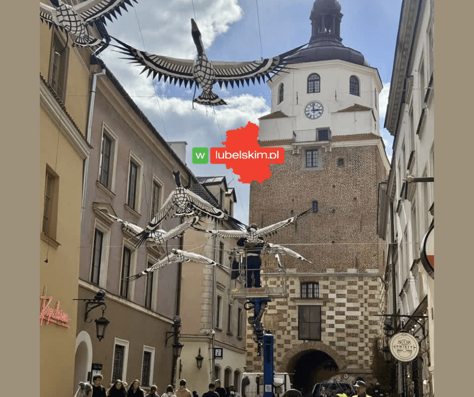 „Przelatujące Żurawie” nad Lublinem. Niezwykła instalacja na Majówkę